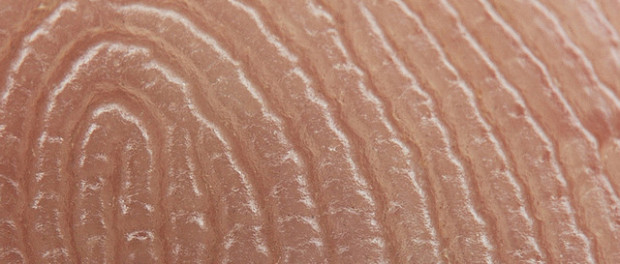 Как работают сканеры отпечатков пальцев?