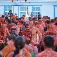 tomatina1