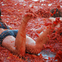 tomatina2