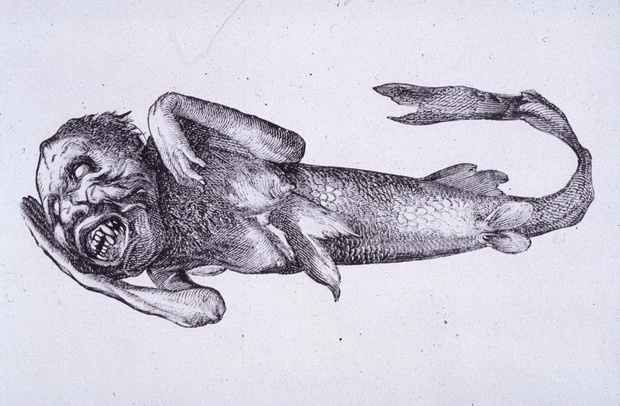 Русалка с Фиджи Русалка с Фиджи