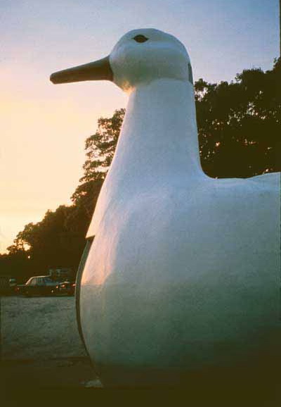 Большая Утка: Фландрия, Нью-Йорк Большая Утка: Фландрия, Нью-Йорк