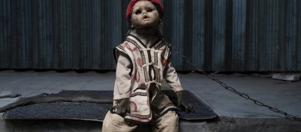 Шокирующие портреты индонезийских обезьян-попрошаек