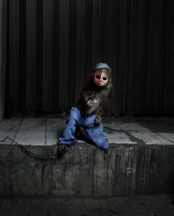 street-performing-monkeys-jakarta-3