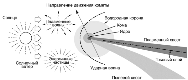 Части кометы Части кометы