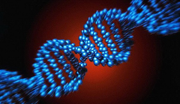 Модель солекулы ДНК Модель солекулы ДНК