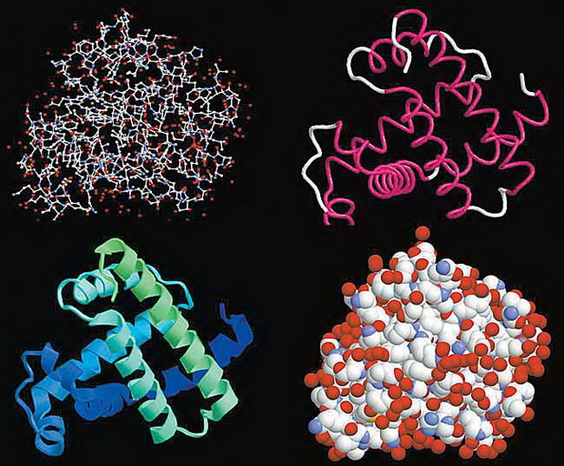 Результаты рентгеновской кристаллографии Результаты рентгеновской кристаллографии