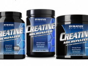 creatine_micro